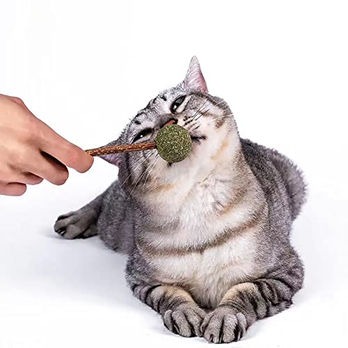 Gato, palo de juguete para cepillarse los dientes, palo de juguete para la actividad del gato, juguete para masticar, juegos para gatos y gatitos Cover