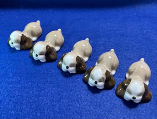 i Lc ɕq ̌` 퐻u 5Zbg