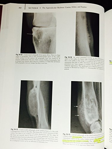 Saunders APPROX. 2050 ILLUSTRATIONS Textbook Of Veterinary Diagnostic Radiology thumb #2