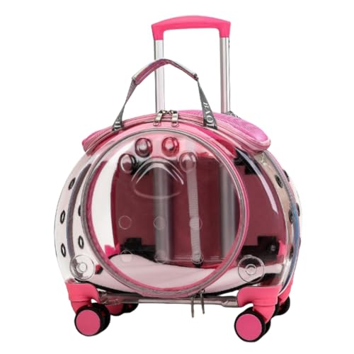 JopsafmybgobOybgobO@\L/^ɓKp4LX^[ʋCLknh^ѕ֗nhobOԗsdԗsAEghAo֗X[cP[Xו (ȃsN)