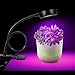LED Gooseneck Grow Light Clip On Plant Lamp