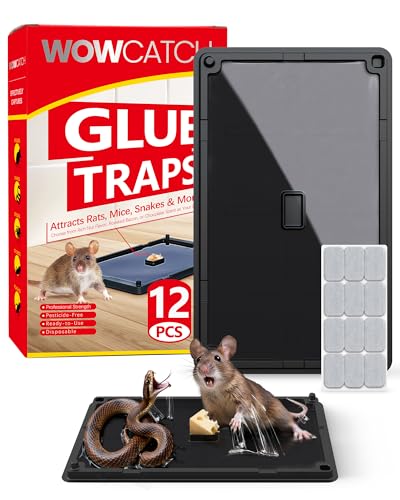 Wowcatch Rat Snake and Mouse Traps 12 PK Large Bulk Sticky Glue Traps Indoor for Home Pre-baited Pet Safe Rodent Catcher for Garage Kitchen Catches Roaches Spiders Lizard Non-Toxic Large