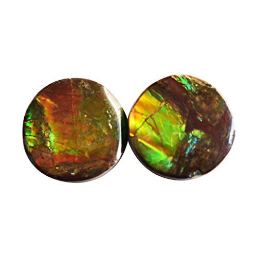 Ammolite naturelle cabochon rouge 16mm pour réussir vos montages de boucles d'oreilles dos plat