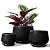 LE TAUCI Plant Pots, 4.1+5.1+6.5 inch, Set of 3, Ceramic Planters with Drainage Hole and Saucer, Indoor Flower Pot with Hole Mesh Pad, Gifts for Mom