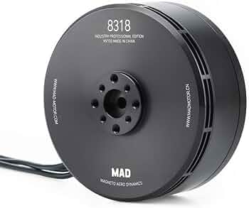 Amazon.com: MAD 8318 IPE 100KV 120KV 260KV Brushless Motor for