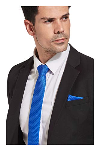 Landisun Mens Solid Royal Blue Tie Valentine Gift Eco-Friendly Skinny Fashion Slim Tie Stirpe Tie With Free Hanky #TOP5