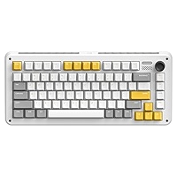 Amazon.com: iQunix ZX75 Gravity Wave 75% RGB Mechanical Keyboard 