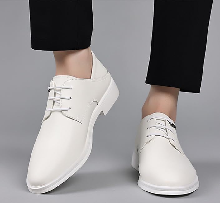 YZABEL Men's Stylish Pointed Toe Lace Up Oxford Shoes, Summer Comfortable Flat Low Top Casual Shoes, Rubber Non-Slip for Formal Business Wedding2