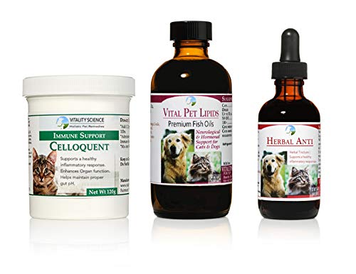 Vitality Science Advanced Immune Restoration Program for Cat Cancer Support | Holistic 3 Step Program | Immune Support | Cat Cancer Treatment | Supplements & Pain Relief (Medium)