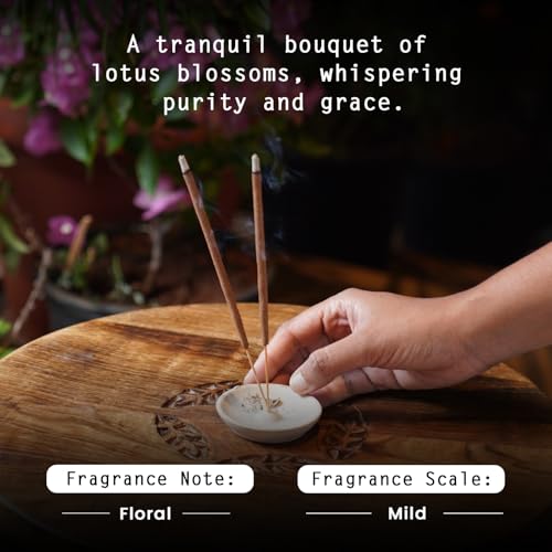 Image of NYASSA Highly Scented Divine Lotus Agarbatti /Incense Sticks - 50g, Divine Lotus Fragrance, Charcoal-Free Agarbatti for Pooja, Meditation, Home Freshness & Positive, Energy, for Special Occasions