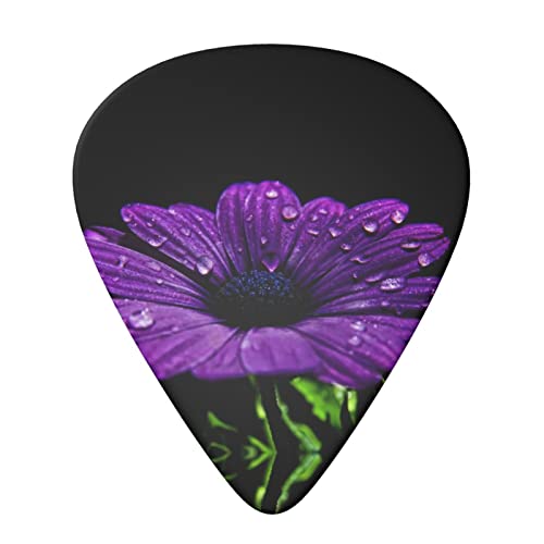 Purple Daisy Lot de 6 médiators pour guitare acoustique, guitare électrique, basse, ukulélé – fins, moyens et épais - Les Beatles, Paul McCartney, John Lennon, RIngo Starr, George Harrison Purple Daisy Lot de 6 médiators pour guitare acoustique, guitare électrique, basse, ukulélé – fins, moyens et épais – Image 4