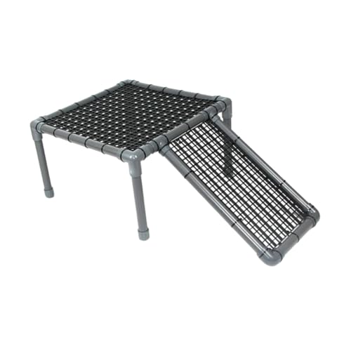 Dragons barbus et petits repti : plateforme de bronzage stable - 8
