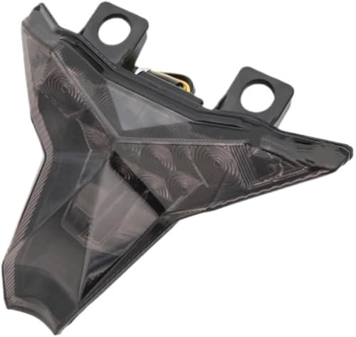 Feu arriere de moto pour Ninja ZX-6R finition haut de gamme 2024