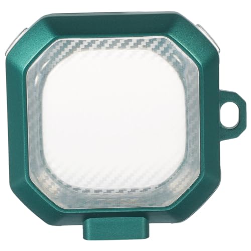 ARTIBETTER Wireless Headset Protective Case for Wireless Earbuds Case Holder Keychain Carbon Fiber Pattern Design for Daily Use and Travel