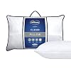Silentnight Luxury Cloud Pillow, Medium Support Ideal for Back and Side Sleepers