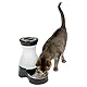 PetSafe Healthy Pet Wasserstation – Klein, 1,8 l Kapazität – Schwerkraft-Haustier-Wasserbrunnen, automatischer Katzenwasserbrunnen, Hundewasserbrunnen, Wasserspender – Abnehmbarer Edelstahlnapf im