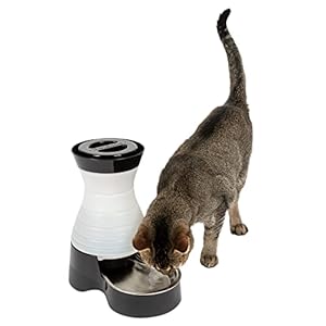 PetSafe Healthy Pet Water Station – Small, 64 oz Capacity – Gravity Pet Water Fountain, Automatic Cat Water Fountain, Dog Water Fountain, Water Dispenser – Removable Stainless Steel Bowl Included