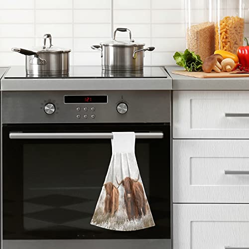 Junzan Scottish Highland Cow Kitchen Hand Towel 2Pieces Super Soft Absorbent Western Deco Hanging Tie Towels Dishcloth For Bathroom Tea Bar Tabletop Farmhouse Beach #TOP4