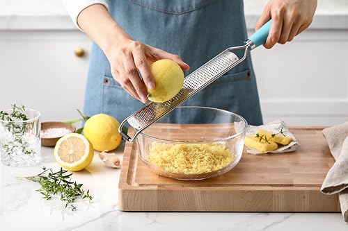 Image of Spring Chef Stainless Steel Lemon Zester, Garlic & Ginger Grater - Aqua Sky