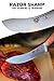 Dalstrong Skinning & Boning Knife - 5.5 inch - Gladiator Series Elite - Forged High-Carbon German Steel - G10 Handle - w/Sheath - Meat Cutting, Carving, Bone, Trimming, Deboning - NSF Certified