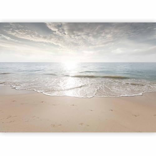 murando Fotomurales autoadhesivos Playa Mar 343x256 cm Papel Pintado coración Pared Murales Pegatina corativos adhesivos 3d Fotográfico Paisaje Naturaleza Ondas c-C-10033-a-a