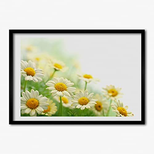 Cadre en Bois Tulup 70x50 cm Tableau Photo Premium de Marguerites Modernes