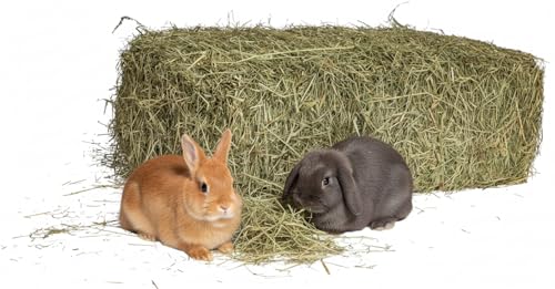Foin naturel pour lapins 5 kg | Balle de foin italien de prairie de montagne séchée au soleil | Nourriture pour cochons d'Inde, Tous les rongeurs, chevaux, ovins,...