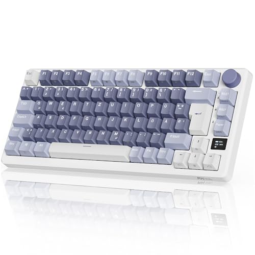 RK Royal Kludge RKM75 Mechanische Gaming Tastatur 75%