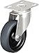 Blickle LKPXA-TPA 101G Swivel Caster, 3.94" Wheel Diameter, 242 lb. Load Capacity