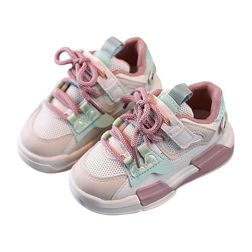 [TXWZM] LbY Xj[J[ ̎q y ^C w j̎q ʊwC ~ X|[cV[Y jOV[Y _ ʊw qǂ 㗚 K[Y }WbNe[vt q Xj[J[ 20 {[CY 풅 jp tďH~ 