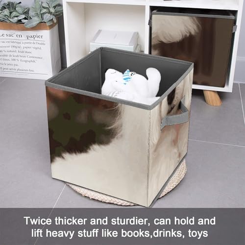 Cube de rangement pliable caniche pour désencombrer étagères et armoires