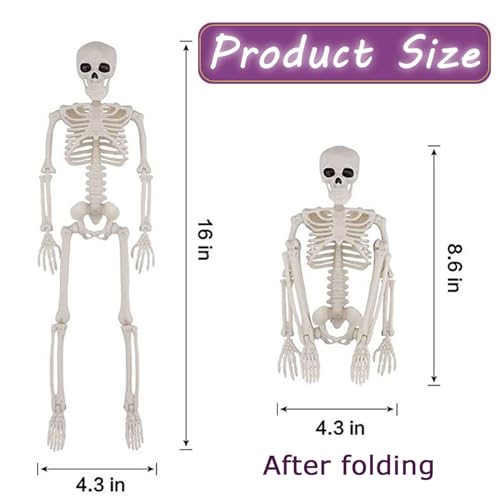 Squelette d'Halloween 40 cm pack double modele humain complet avec membres mobiles