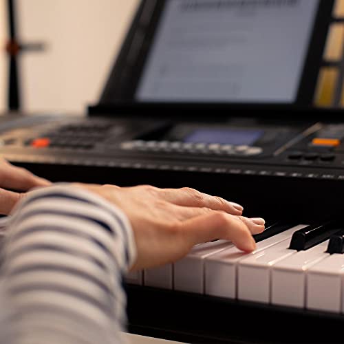 Axus AXP2L Clavier portable à 61 touches lumineuses type piano, synthétiseur à touches dynamiques lumineuses de taille… - Les Beatles, Paul McCartney, John Lennon, RIngo Starr, George Harrison Axus AXP2L Clavier portable à 61 touches lumineuses type piano, synthétiseur à touches dynamiques lumineuses de taille… – Image 6