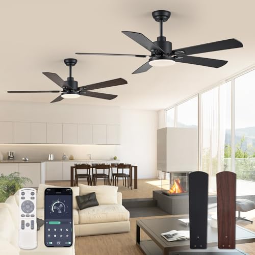 ZMISHIBO 2-Pack 52 Ceiling Fans with Lights