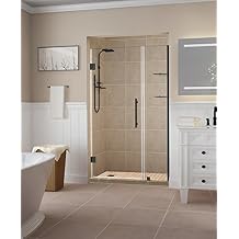 Aston Belmore GS Frameless Hinged Shower Door in Frosted Glass and Shelves