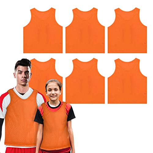 [TOEPODO] ruX 6Zbgqn ruXqǂ LbY w WjA oXPbg{[ TbJ[ 10F z y ǒʋC jp ^ K(IW)