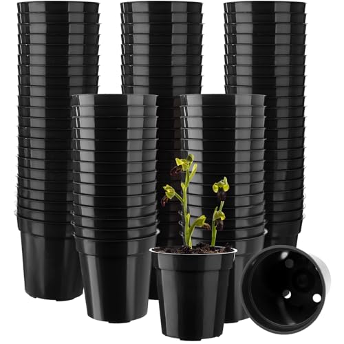 Beautywen 100Pcs Plastic Flower Pots 2.1In Mini Plastic Plant Pot Small Flower Pots Round Plant Nursery Pots with Drainage Holes for Seeds Seedling Vegetabels Herbs Garden Succulent Plants(Black)