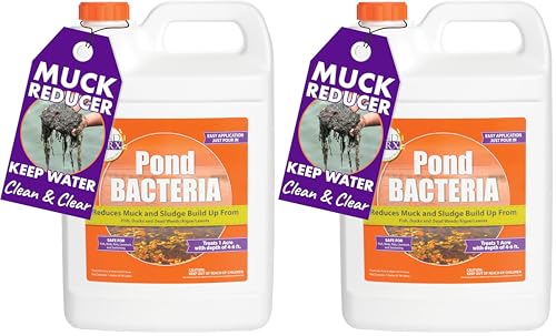 Image of PondWorx Pond Bacteria - Formulated for Large Ponds, Water Features and Safe for Koi - Gallon (Pack of 2)