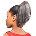 DS002 (Foxy Silver) - Synthetic Ponytail in 280