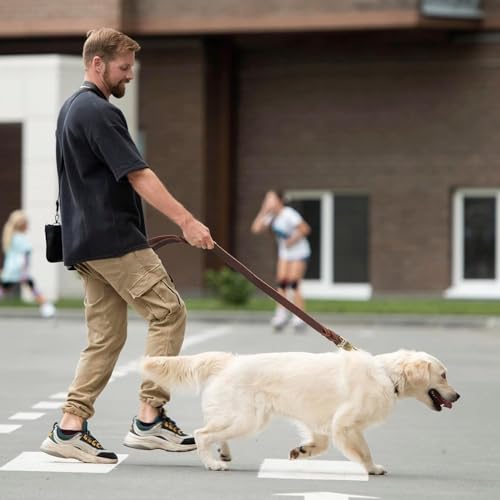 Heavy Duty Dog Leash Training Tips