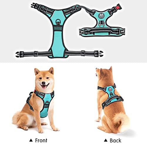 Image of PoyPet No Pull Dog Harness, No Choke Front Lead Dog Reflective Harness, Adjustable Soft Padded Pet Vest with Easy Control Handle for Small to Large Dogs(Mint Blue,S)