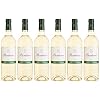 Bordeaux AOC Blanc, Trockener Weißwein aus Frankreich (6 x 0,75)
