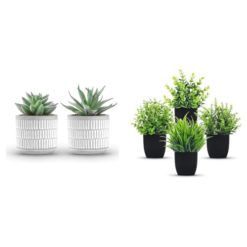 Der Rose Bundle of et of 2 Succulents Plants and 4 Pack Small Fake Plants for Room Home Office Shelf Decor