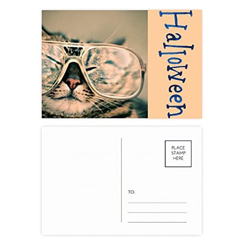 Cartes postales d'Halloween chat avec lunettes d'animaux collection correspondance lot de 20