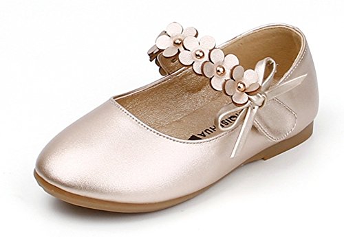 Femizee Toddler Girls Flower Mary Jane Ballet Flats Shoes with Hook and Loop Strap(Toddler/Little Kid),Golden,1527 CN 21
