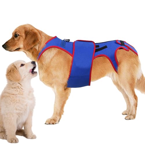 Soporte de cadera para perros pequeños con tiras reflectantes para prevención 2