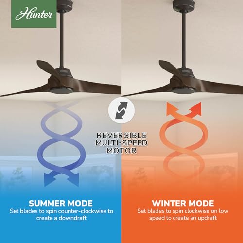 Image of Hunter Mosley, Outdoor or Indoor, Ceiling Fan, 52 inch, Premier Bronze