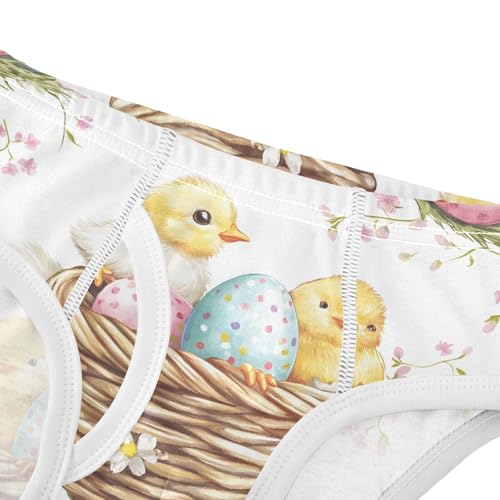 Easter Chicks Egg Toddler Boy's Underwear 2T 202b90334