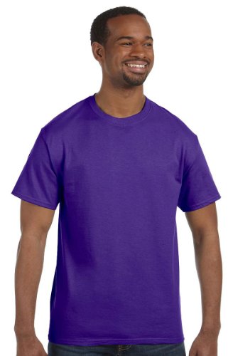 Hanes ComfortBlend EcoSmart Crewneck Men's T-Shirt, Large, Purple