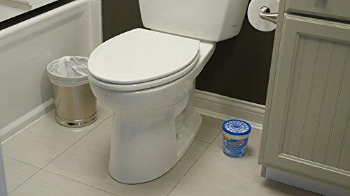 DampRid FG01K Refillable Moisture Absorber, Fragrance Free, 10.5-Ounce